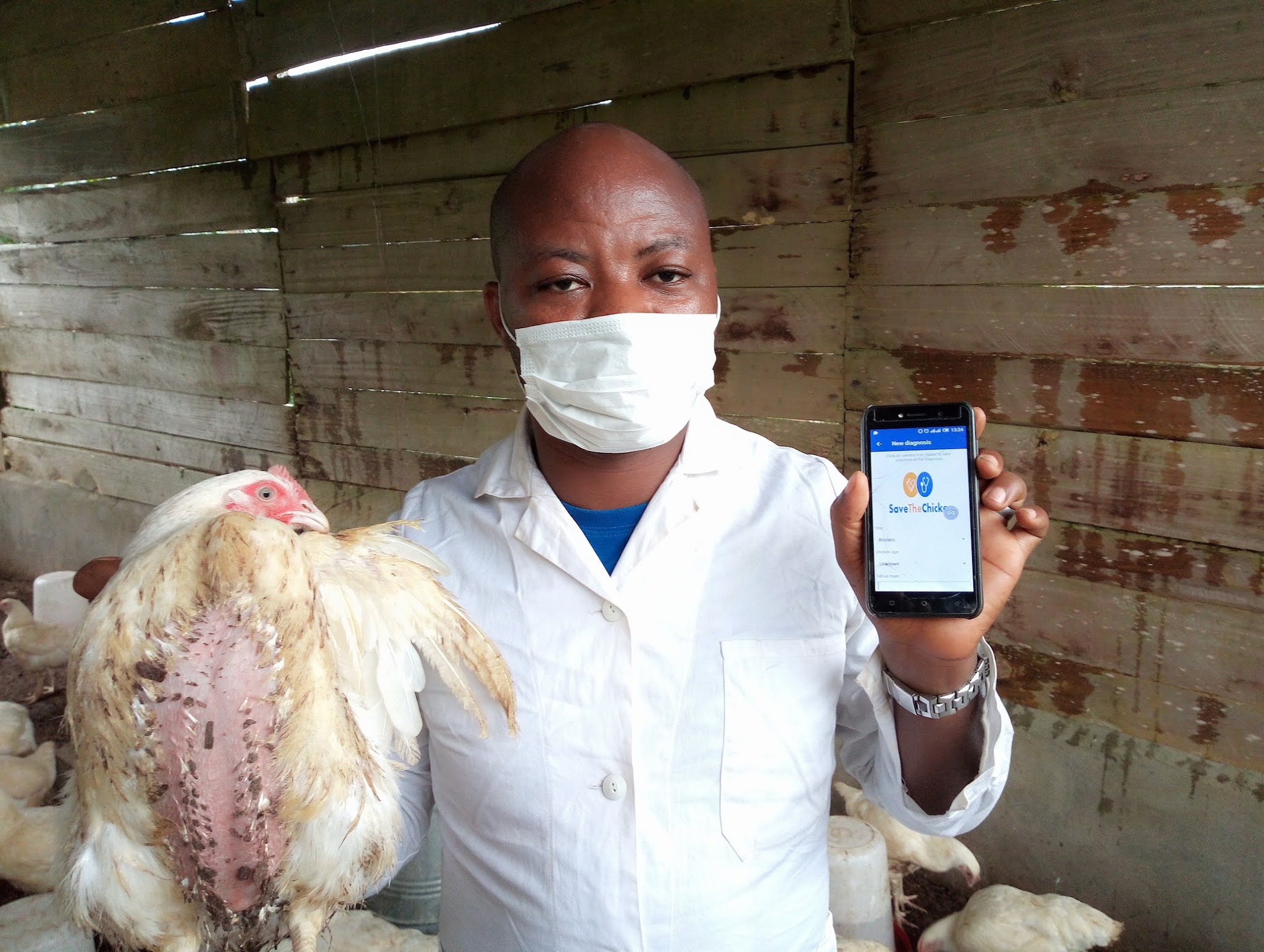 Poultry Farmers Management Systems | GIST Network
