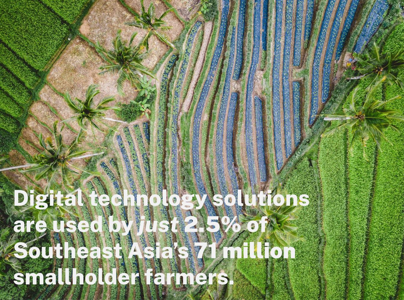 Digital technology solutions are used by just 2.5% of Southeast Asia's 71 million smallholder farmers.